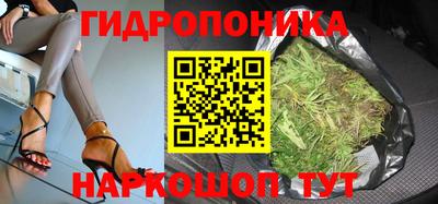 эйфоретик Новодвинск