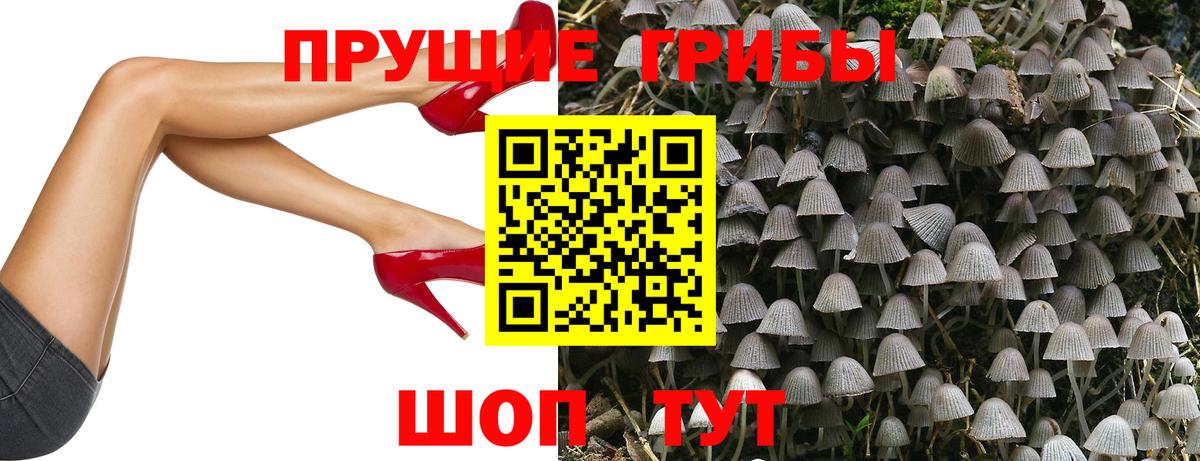 Псилоцибиновые грибы ЛСД  Вход с VPN  купить   Соль-Илецк 